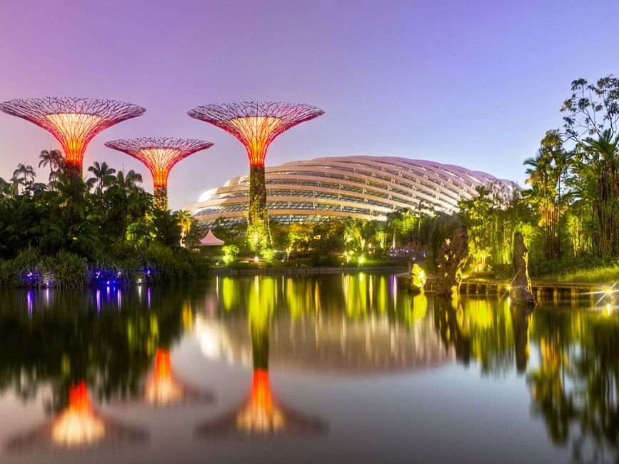 Gardens by the Bay at night